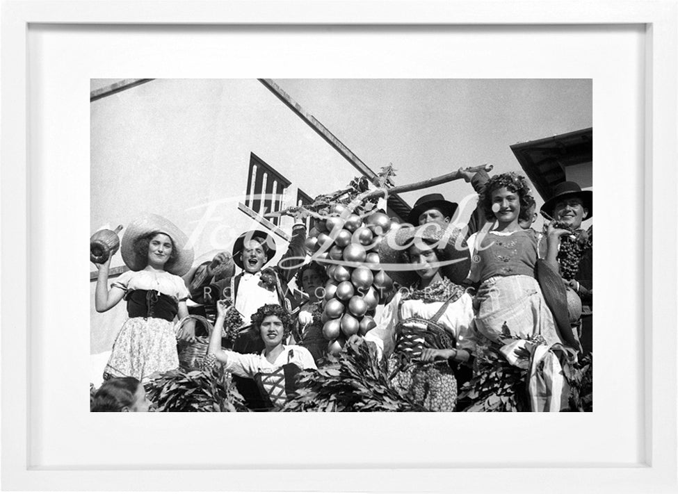 Grape Festival in Impruneta