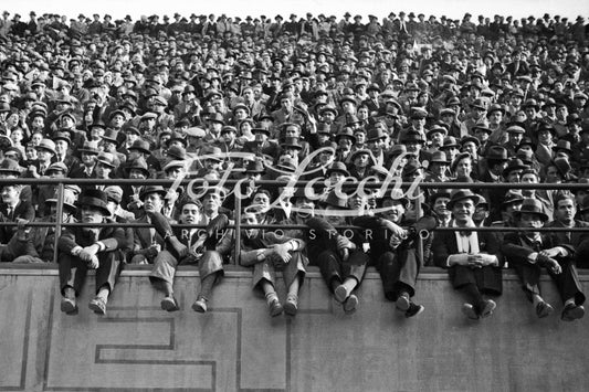 Fans from the stands of the Florence Stadium