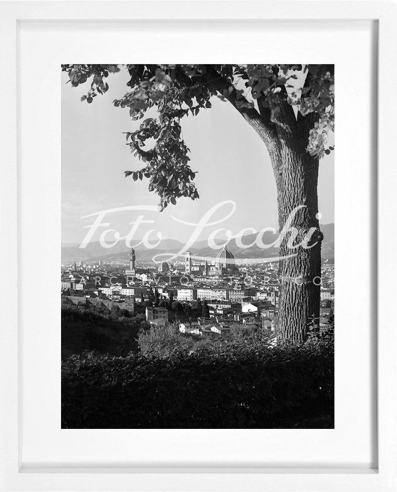 Veduta di Firenze incorniciata da un albero