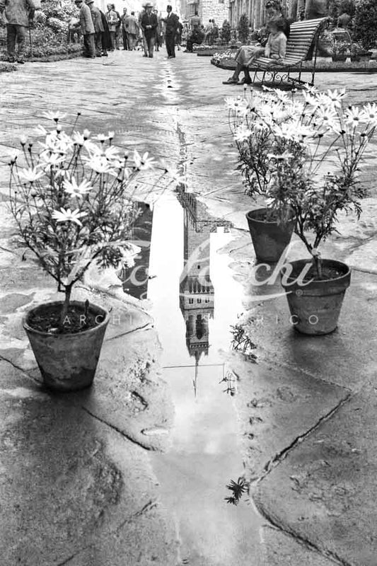 Arnolfo Tower reflected in the 1950s